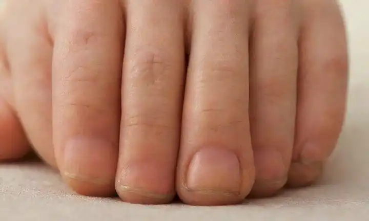 Un disparo de cerca de una pata de gatos, con sus garras extendidas y visibles, mostrando la separación entre los dedos, contra un fondo neutro, con un toque de luz y sombra para resaltar la estructura de las uñas, con un tono suave y delicado, con un enfoque en las uñas en sí mismo en lugar de los gatos cuerpo general