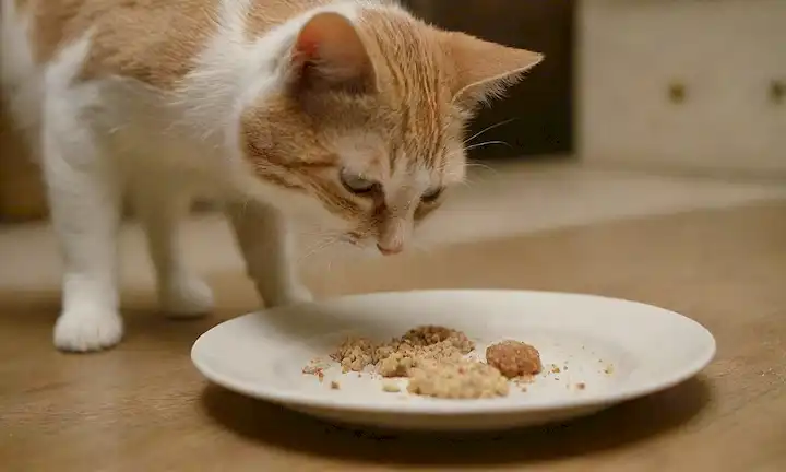 Un plato con unas cuantas mordeduras removidas