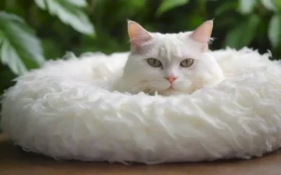 ilustración 3D de un gato con piel brillante