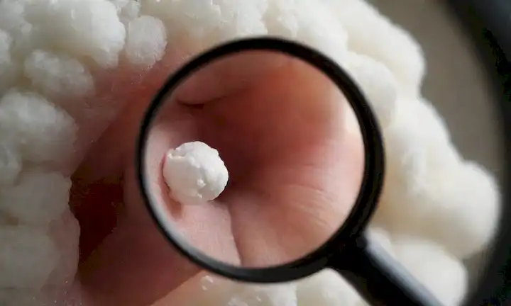 Un disparo de cerca de un canal de oreja de perros, con una lupa o una vista ampliada para destacar sus estructuras internas, rodeado de elementos de fondo sutiles como bolas de algodón, swabs u otras herramientas de higiene, posiblemente con un toque de calor e iluminación suave