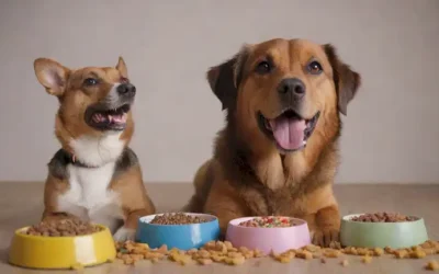 3 perros felices