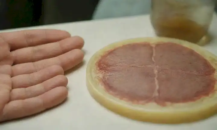 Perros mayores con enfermedad renal, acercamientos de riñones, aspecto amarillento o nublado, plato petri con cultura bacteriana, muestra de orina de perros, instrumentos quirúrgicos, imagen de rayos X de un perro abdomen, manos veterinarias realizando un examen
