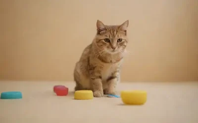 Una figura felina en una posición de cuclillas o sentadas