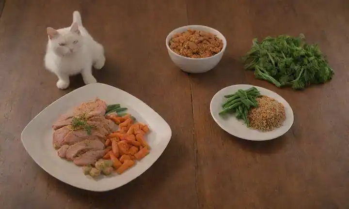 Un plato caliente con verduras frescas como zanahorias
